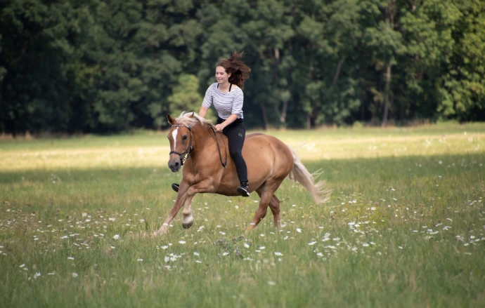 Confident Rider, Riding Confidence